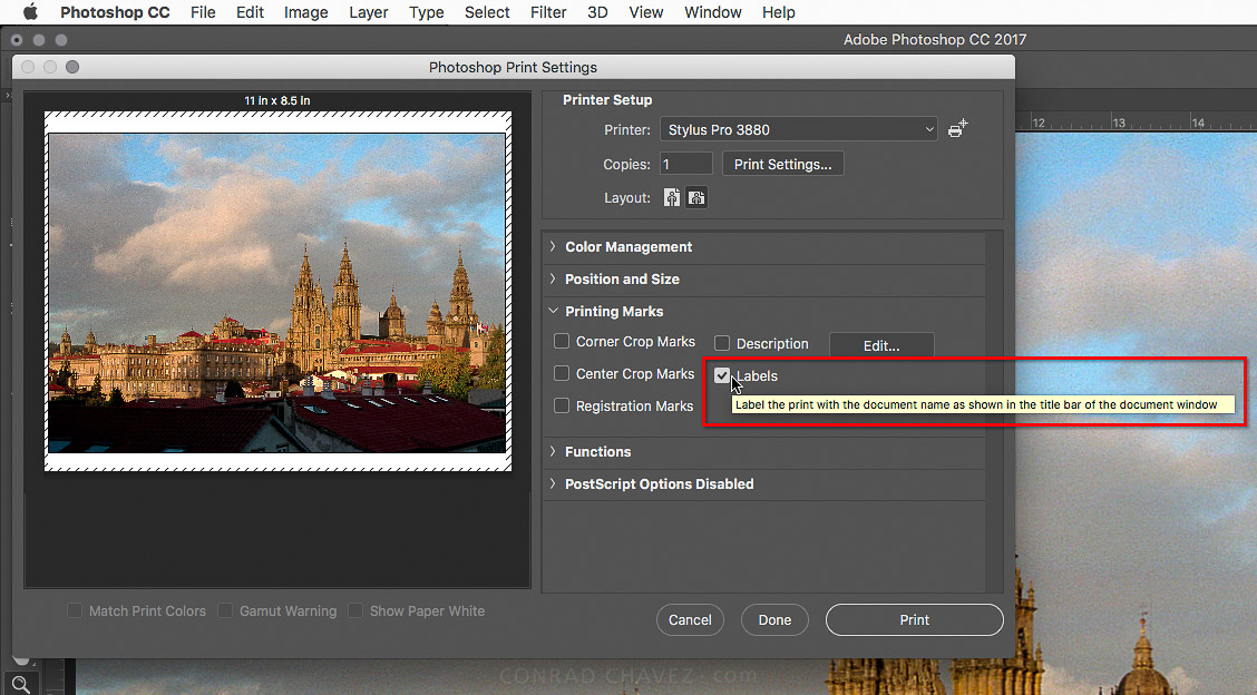Photoshop print label.jpg